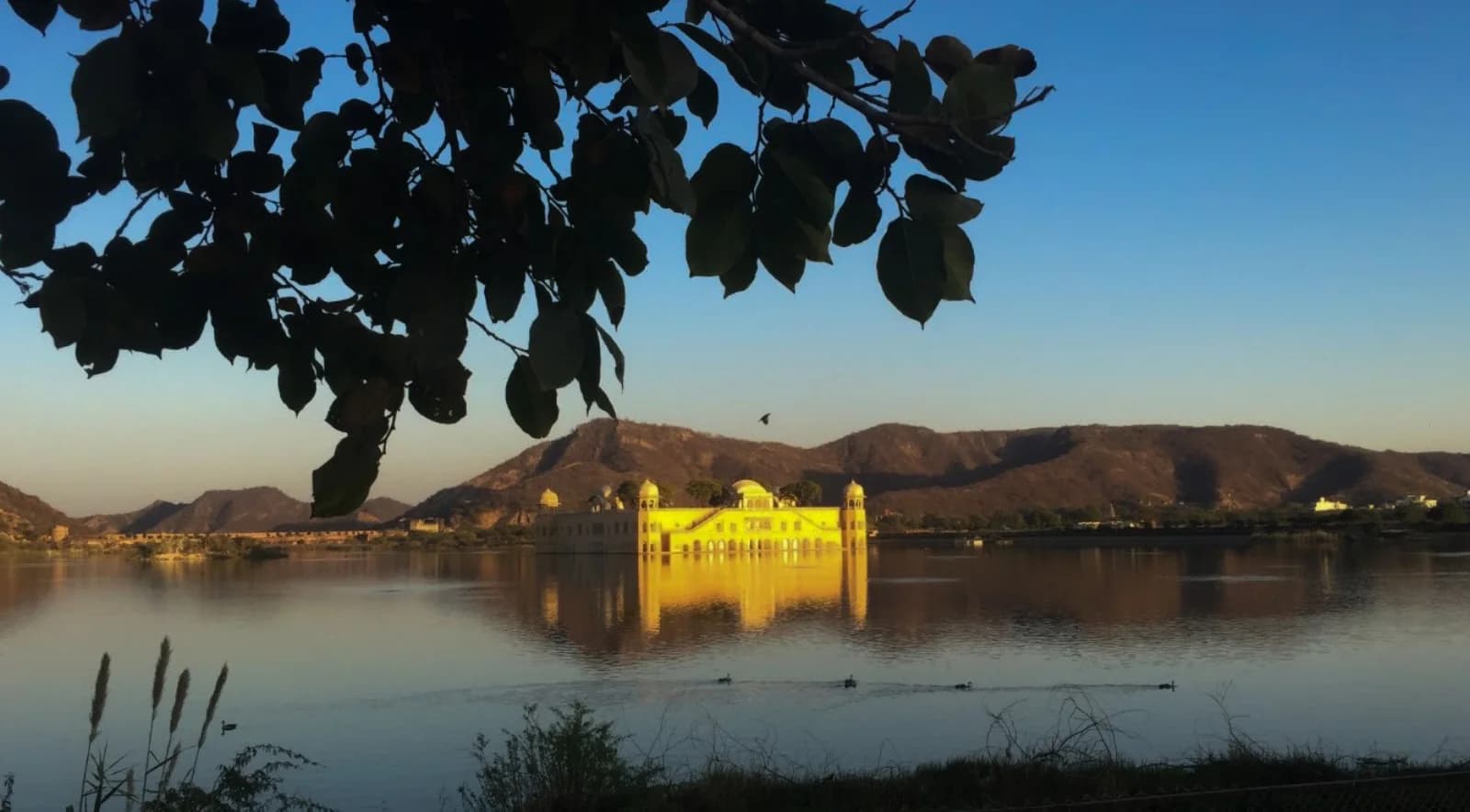 Jal Mahal reflected in Man Sagar Lake in Jaipur